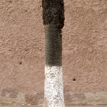 Sèrie línies